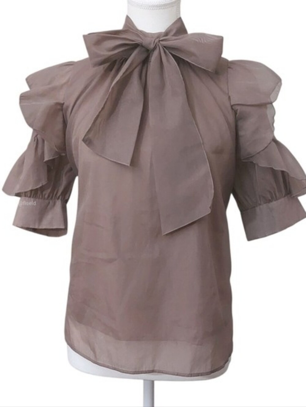 Ingni | Frilled Sheer Mauve Blouse